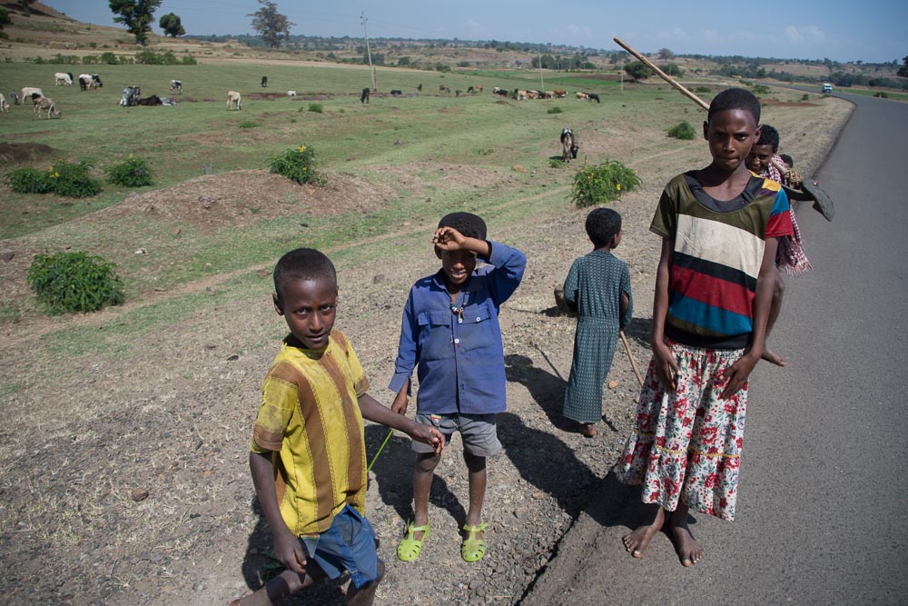 One of the smaller bands of 'supporters'