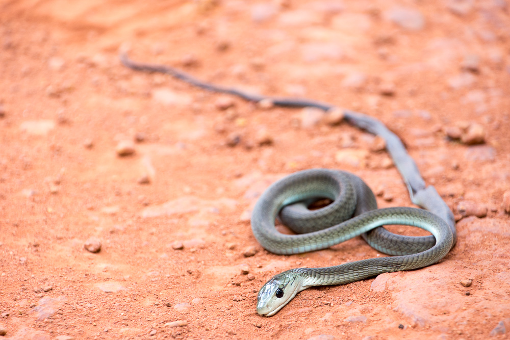 Cycling western Tanzania-1460