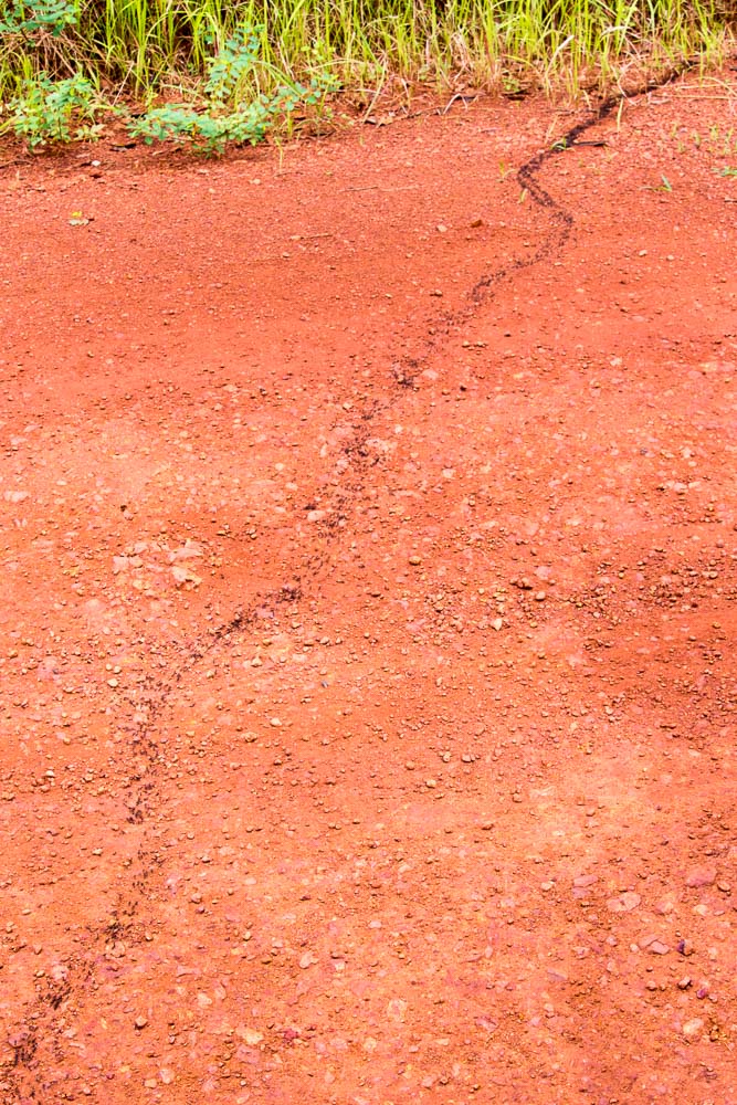 Cycling western Tanzania-1465