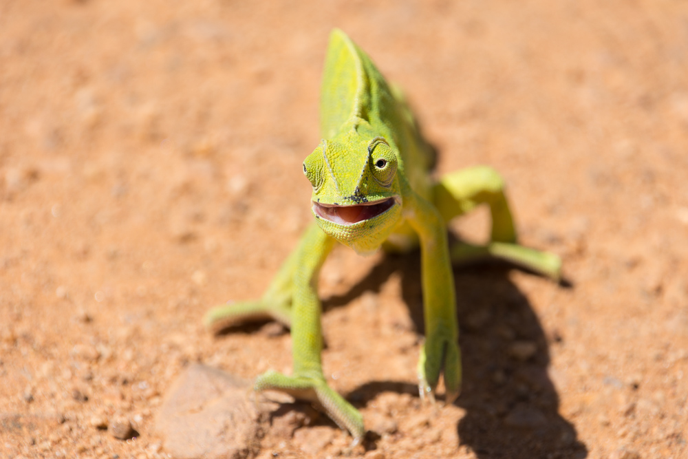 Cycling western Tanzania-1794